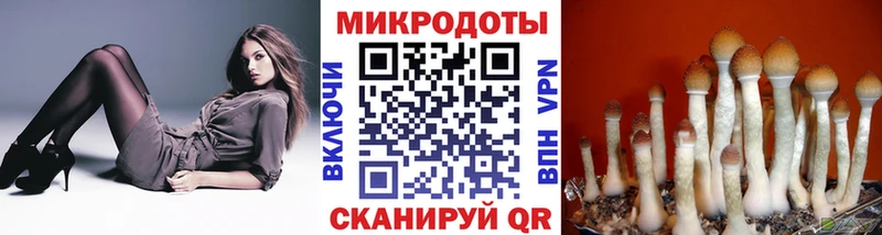 Псилоцибиновые грибы Magic Shrooms  Купить закладки  Карталы 